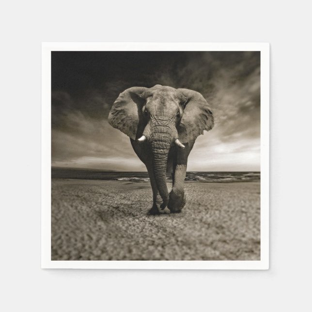 Wildlife Bull Elephant Photo Napkin (Front)
