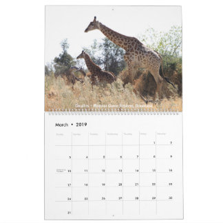 Wildlife Calendar