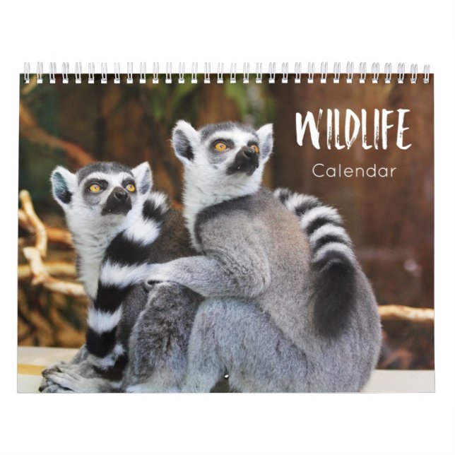 wildlife calendar 2023 (Cover)
