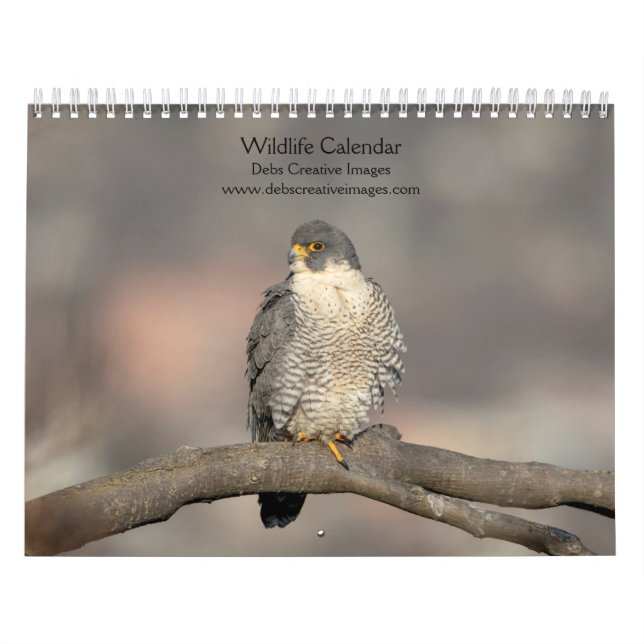 Wildlife Calendar 2026 (Cover)