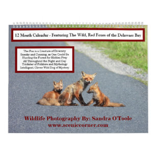 Wildlife Calendar, Red Foxes Calendar