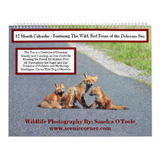 Wildlife Calendar, Red Foxes Calendar
