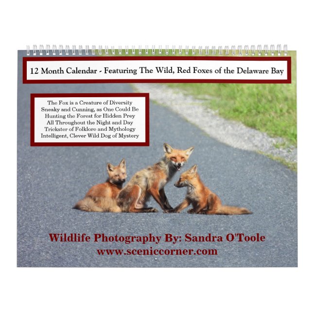 Wildlife Calendar, Red Foxes Calendar (Cover)
