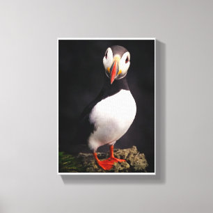 Wildlife Canvas Print