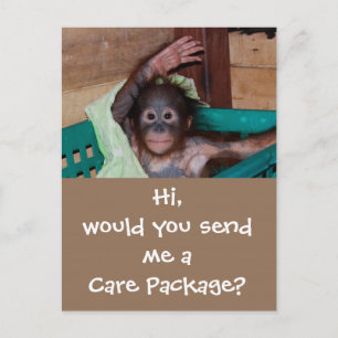 Wildlife Care Package Postcard