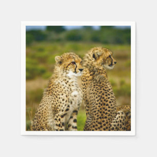 Wildlife Cheetah Photo Napkin