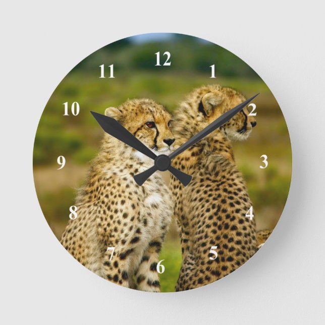 Wildlife Cheetah Photo Round Clock (Front)