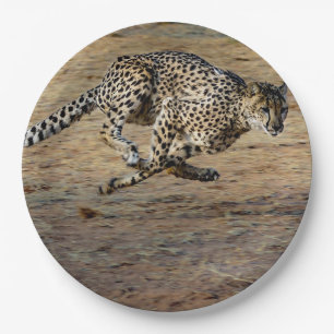 Wildlife Cheetah Running Photo Paper Plate