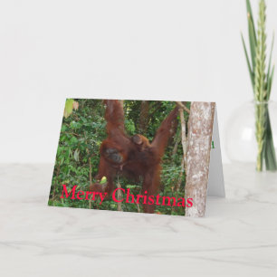 Wildlife Christmas Holiday Card