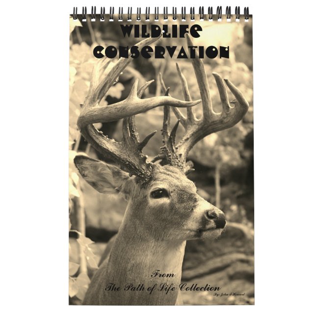 Wildlife Conservation Calendar (Cover)