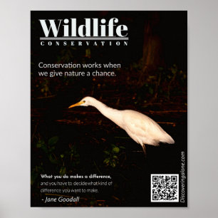 Wildlife Conservation Poster - Jane Goodall Quote