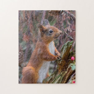 Wildlife Cute red squirrel Jigsaw Puzzle