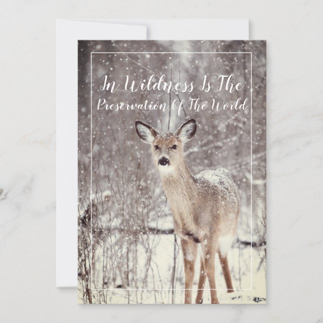 Wildlife Deer In The Snow Winter Holiday Card (Front)