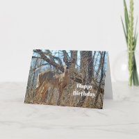 Wildlife Deer Woods Photo Birthday