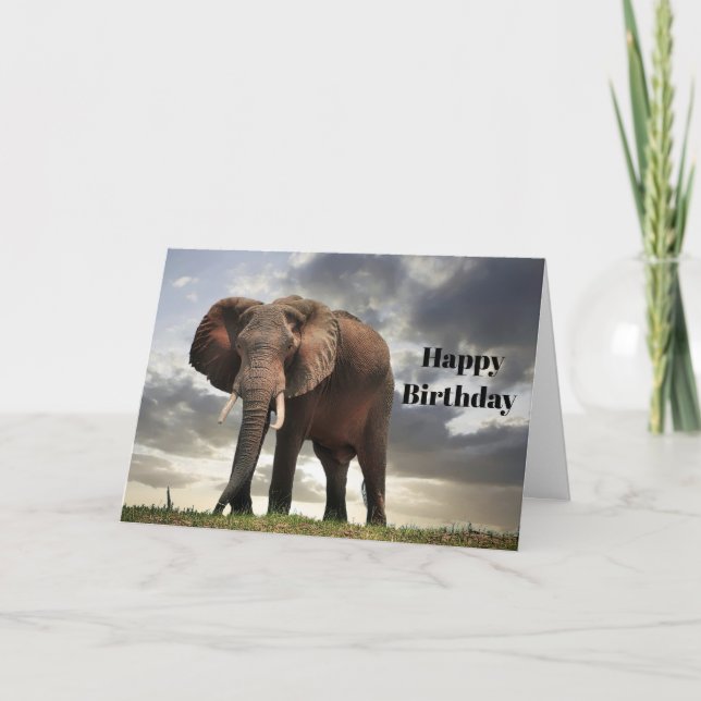 Wildlife Elephant Photo Birthday Card (Front)