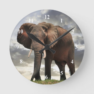 Wildlife Elephant Photo Round Clock