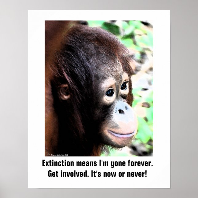 Wildlife Extinction poster (Front)