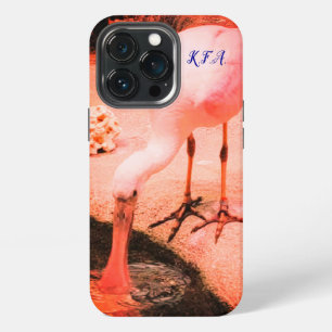 Wildlife Fun Roseate Spoonbill Trendy iPhone 13 Pro Case