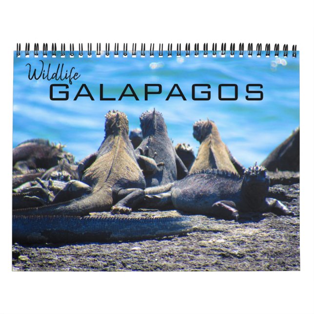 wildlife galapagos 2027 calendar (Cover)