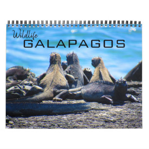 wildlife galapagos 2027 calendar