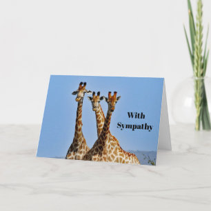 Wildlife Giraffe Herd Photo Sympathy Card