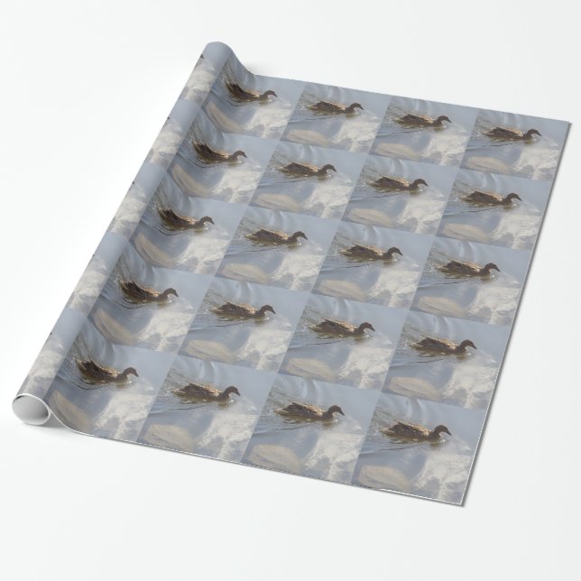 Wildlife Goose swimming in Lake, Nature, Bird Wrapping Paper (Unrolled)