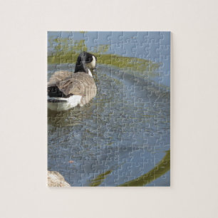 Wildlife Goose swimming in Lake, Water Circle Jigsaw Puzzle