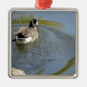 Wildlife Goose swimming in Lake, Water Circle Metal Tree Decoration