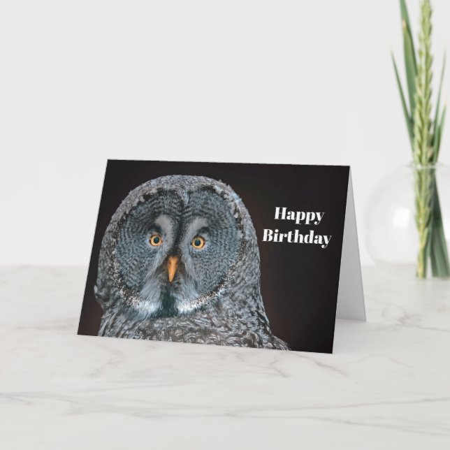 Wildlife Great Grey Owl Birthday Card (Front)