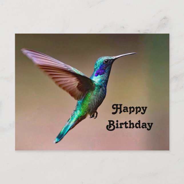 Wildlife Green Hummingbird Photo Birthday Postcard (Front)