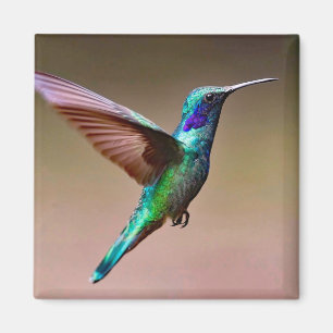 Wildlife Green Hummingbird Photo Magnet