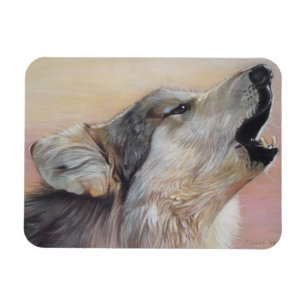 wildlife grey wolf howling against the sunset magnet