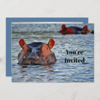 Wildlife Hippo Water Photo Birthday