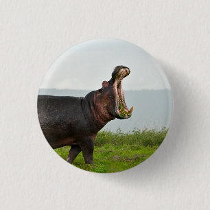 Wildlife Hippopotamus Photo 3 Cm Round Badge