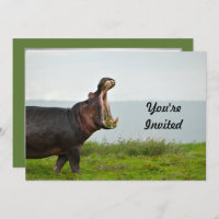 Wildlife Hippopotamus Photo Birthday