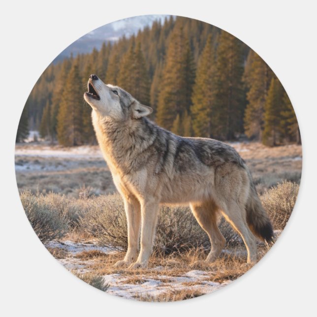 Wildlife Howling Gray Wolf Wilderness Scene Classic Round Sticker (Front)