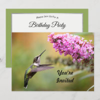 Wildlife Hummingbird Floral Photo Birthday