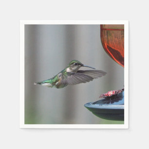 Wildlife Hummingbird Red Feeder Photo Napkin