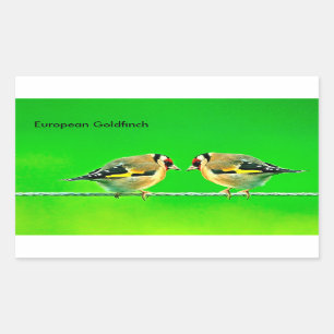 Wildlife images for Rectangle-Stickers Rectangular Sticker