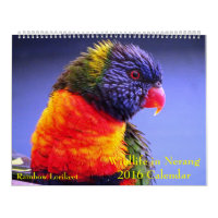 Wildlife in Nerang 2016 Calendar
