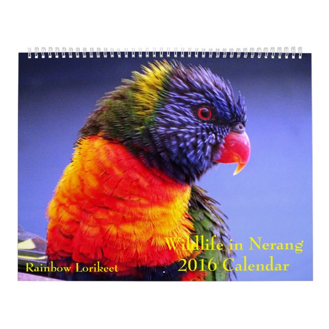 Wildlife in Nerang 2016 Calendar (Cover)