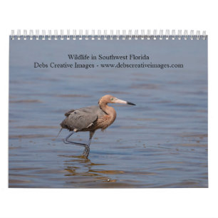 Wildlife in Southwest Florida 2026 Calendar