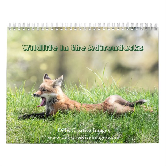 Wildlife in the Adirondacks Calendar 2026 (Cover)