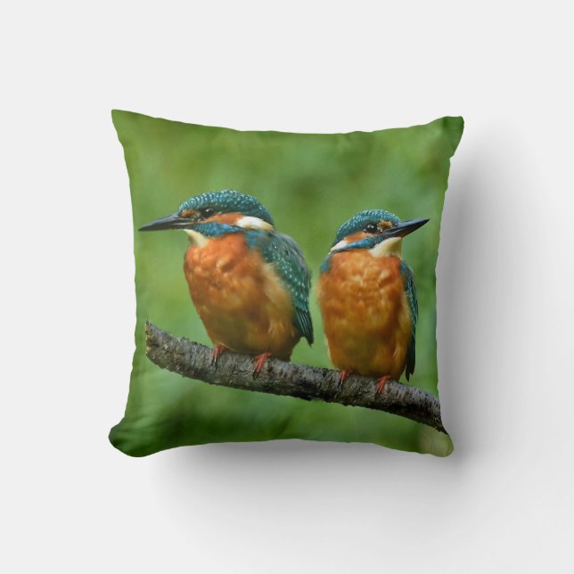 Wildlife Kingfisher Photo Cushion (Front)