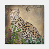 Wildlife Leopard Photograph Butterfly Warm tones