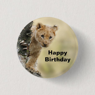Wildlife Lion Cub Photo Birthday 3 Cm Round Badge