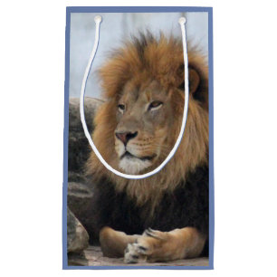 Wildlife Lion Photo Small Gift Bag