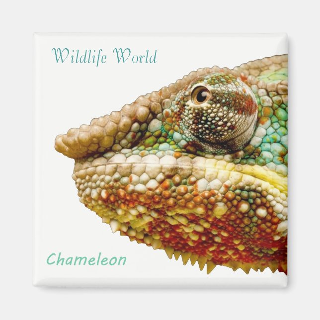 Wildlife Magnet (Front)