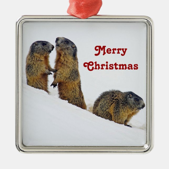Wildlife Marmots Snow Photo Christmas Metal Tree Decoration (Front)