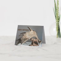 Wildlife Moose Fun laugh anony-MOOSE birthday card